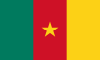 Puan Durumu Kamerun